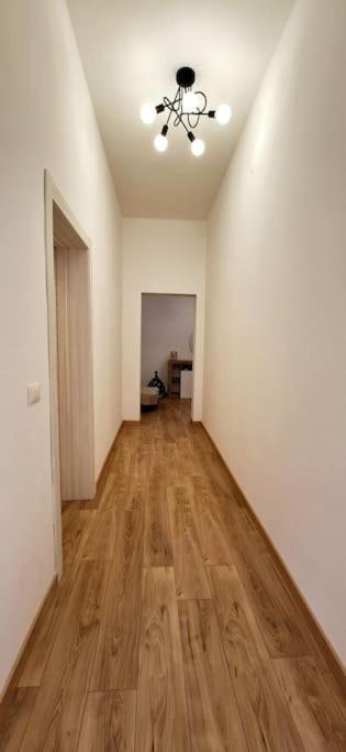 Faby & Fra Apartments 利沃诺 外观 照片